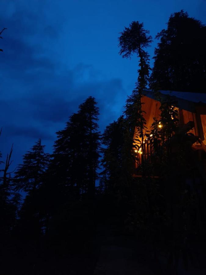 Deep In Woods Villa Jibhi Exteriör bild